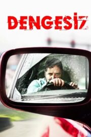 Dengesiz