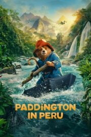 Ayı Paddington 3 Peru’da